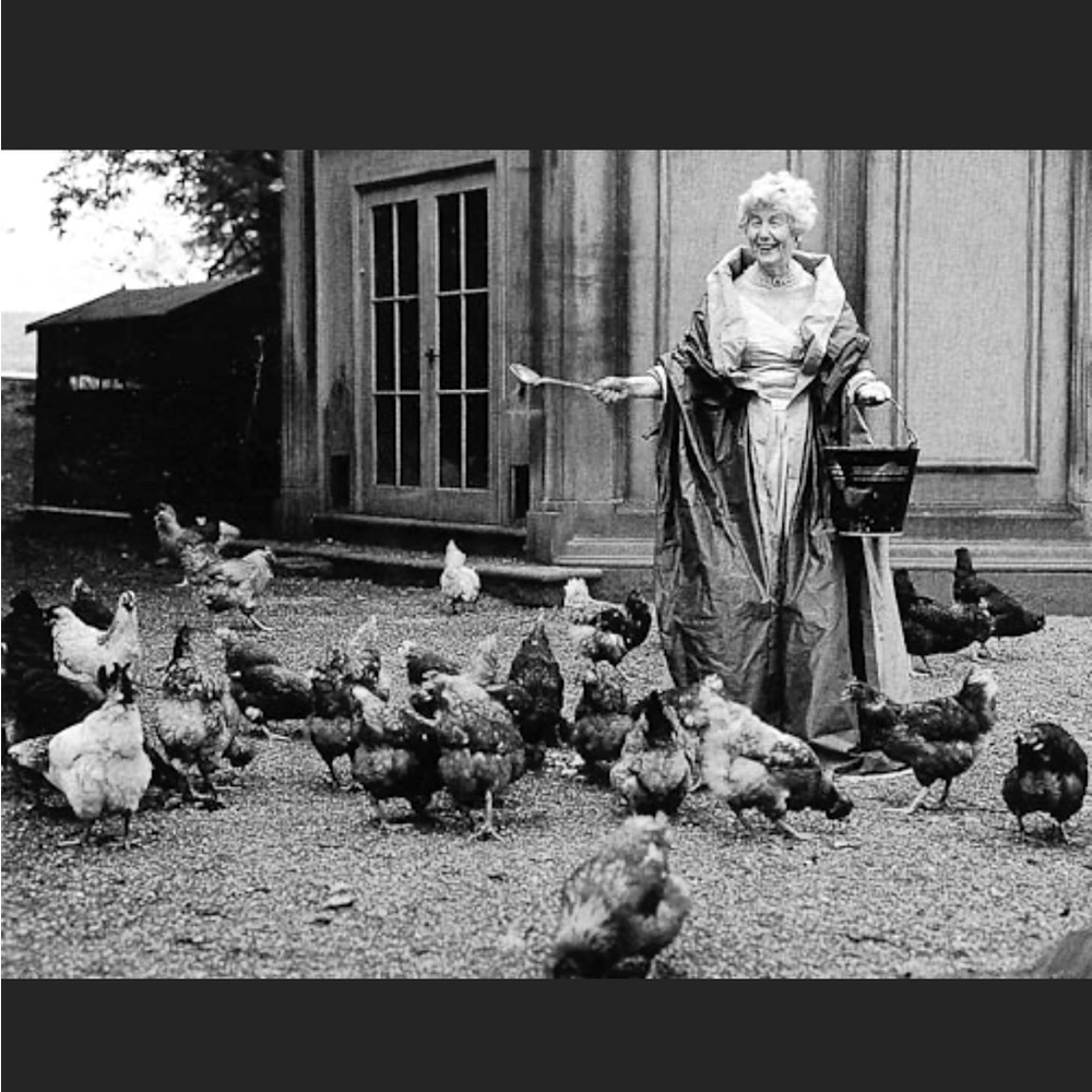 Whatever you do, do it with style! 😎😍👸🏻🐓
